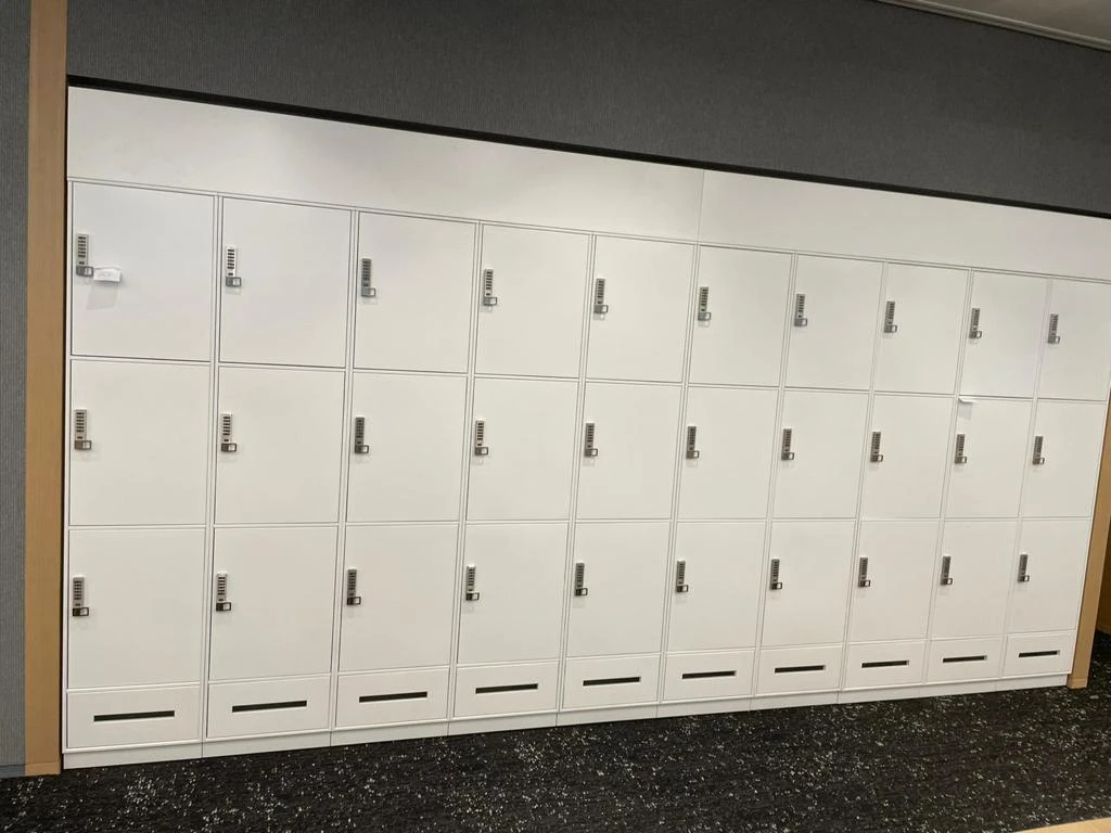 af6fa6_12e2cbb807ed484999bad49acb5c2881_mv2