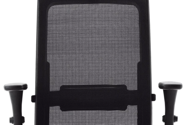 homensglemonskyplhtdocsimportdataproductsoffice-chairsmojito02_key-features02-03_functions_c3ord4office-chairs_1-1_mojito-2
