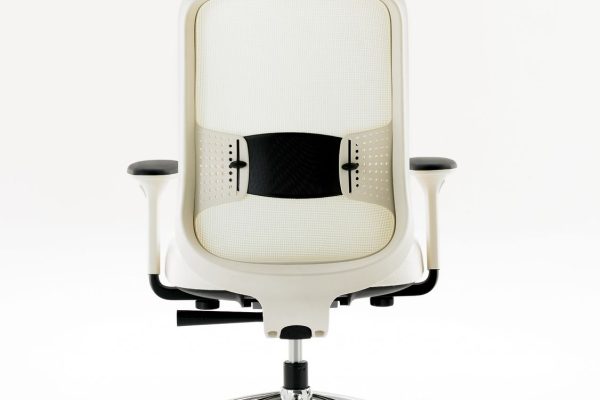 Low-Projek-Task-Chair-Back-View-Stone-Mesh-Stone-Outer-Frame-Stone-Inner-Frame-Ebony-Lumbar-4D-Arms