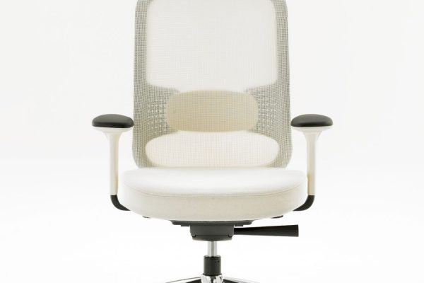 Low-Projek-Task-Chair-Front-View-Ebony-Outer-Frame-Ebony-Inner-Frame-Stone-Lumbar-4D-Arms