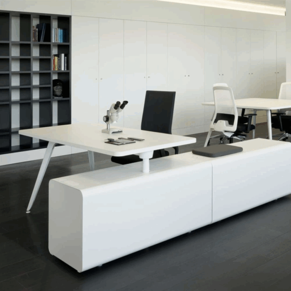 Beta Workstation