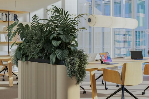 Punt-Dune-Planter-Monica-Armani-02