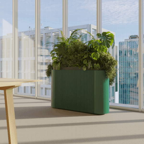 Dune Planter