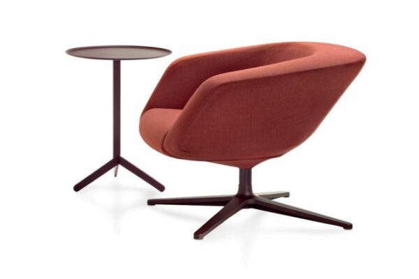 Dino-05-IMG_12304-662x700