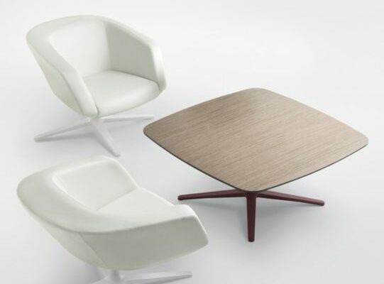 Dino-06-IMG_11509-541x700