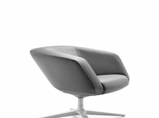 Dino-D011_00-copia-538x700