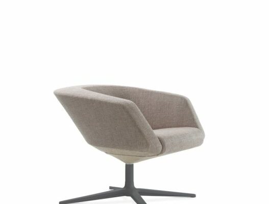 Dino-D011_03-527x700